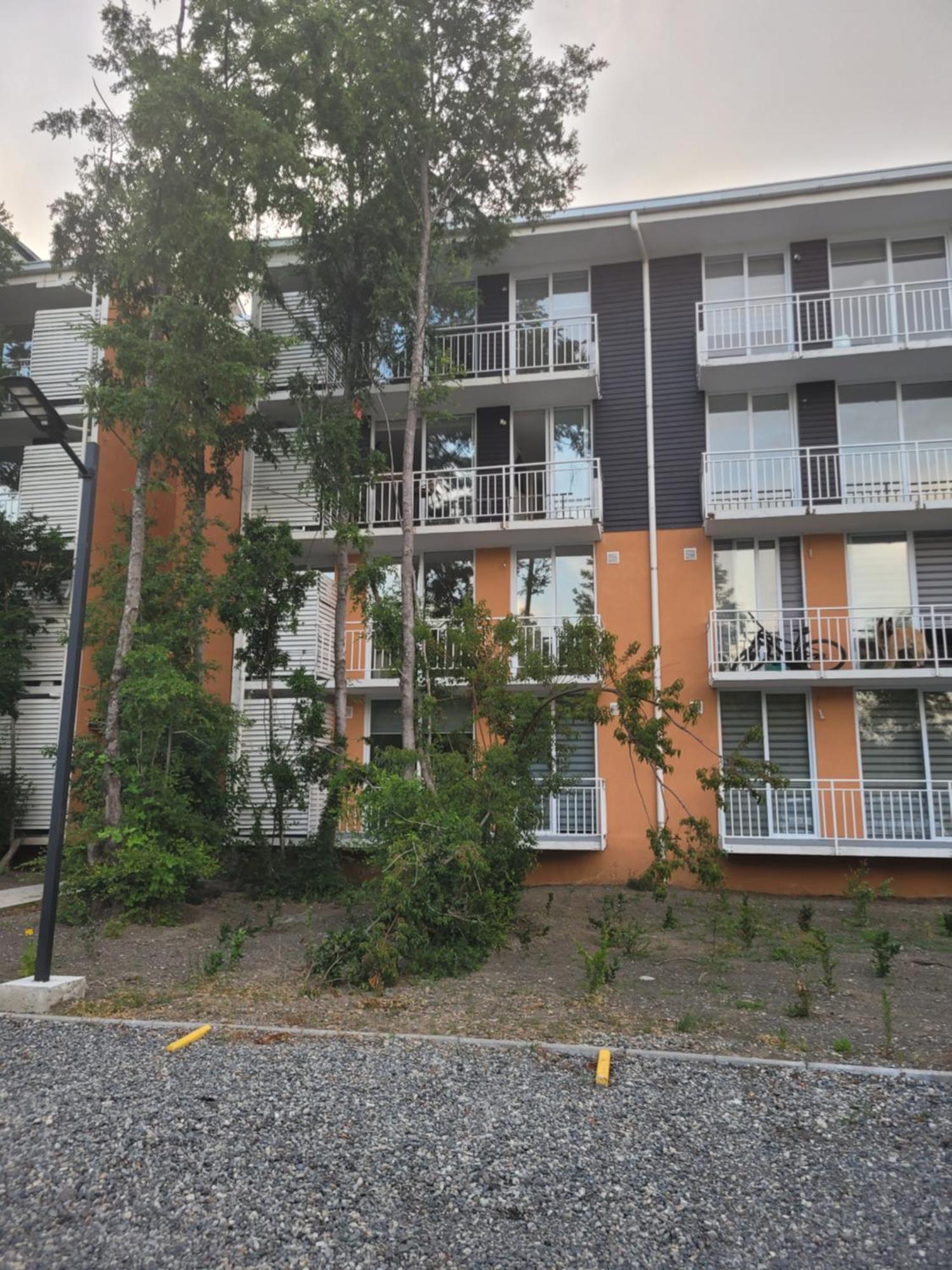 Apartamento Departamento Nuevo